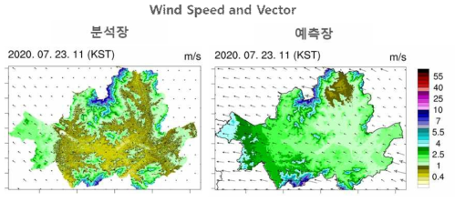 서울시 30m 해상도 강수 분석장 (좌) 및 LDPS 예측장 (우)