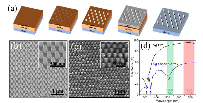 a) 은(Ag) 나노팁 광결정 기판의 제조 과정 모식도, (b) 은 나노팁 광결정 기판 및 (c) 그 위에 페로브스카이트 양자점을 코팅한 SEM 사진, (d) 나노팁 광결정 및 은 나노박막의 UV-Vis 흡수스펙트럼 분석 결과