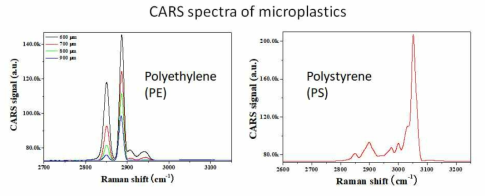 미세플라스틱 (PE, PS)의 시분해 CARS 스펙트럼. (좌) PE. (우) PS
