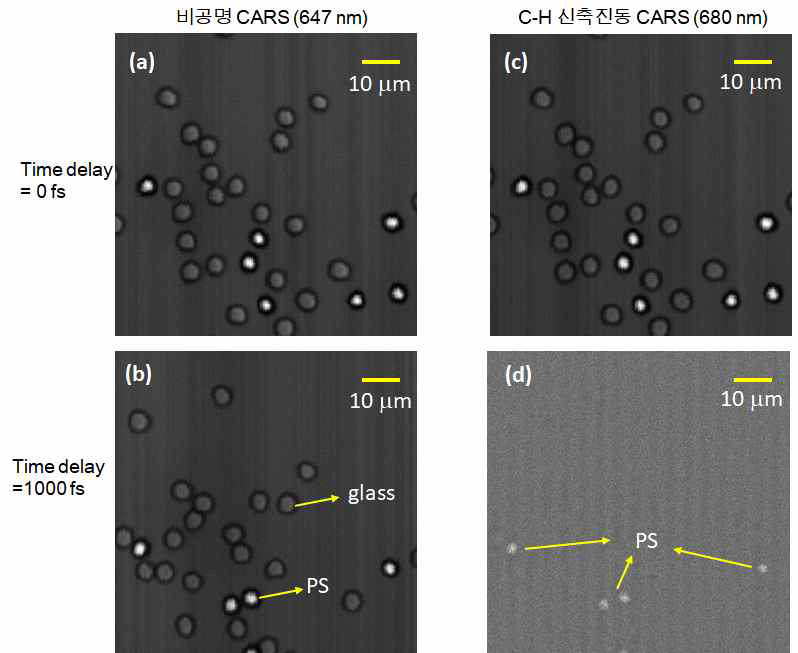 미세플라스틱 (PS)과 glass beads 혼합시료의 비공명 (a, b) 및 C-H 신축진동 (c, d) CARS 이미지. Time dalay=0 fs (a, c)과 Time delay=1000 fs (b, d)에서의 CARS 이미지 비교