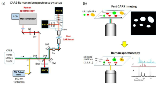 (a) CARS-Raman microspectroscopy setup. (b) CARS-Raman 분광 이미징을 통한 미세플라스틱 고속 측정 분석법 개략도