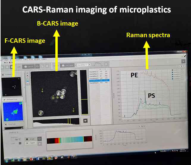 CARS-Raman 분광 이미징 통합 프로그램을 이용한 미세플라스틱 분석 결과