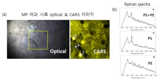 (a) 20μm PS+PE 혼합액 여과 시료의 CARS 이미지 (광학이미지의 노란색 사각영역). (b) 미세플라스틱 추정 위치 (3, 4, 6 위치)에서 얻은 Raman 스펙트럼