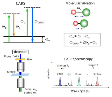 CARS 이미징 및 분광법 기본 개념