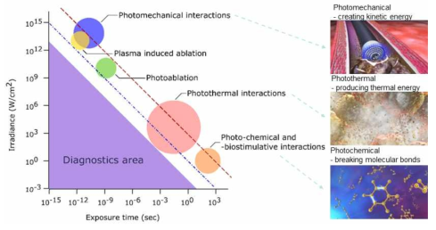 Light-scheme interaction scheme (출처: K. S. Litvinova et al.,(2017))
