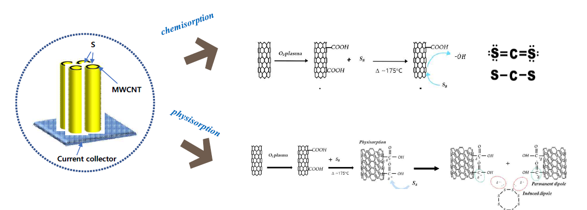 직접성장된 탄소나노튜브 전극구조체와 황 사이의 예상 흡착 메커니즘
