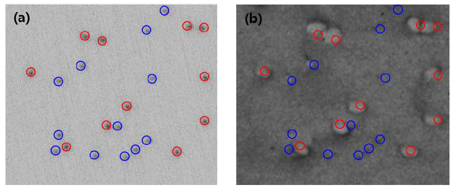 TSD와 TED 결함 (a) PL 분석 이미지 (channel 2), (b) X-ray topography image, g=-1-128, TSD: 붉은색 원, TED: 파란색 원