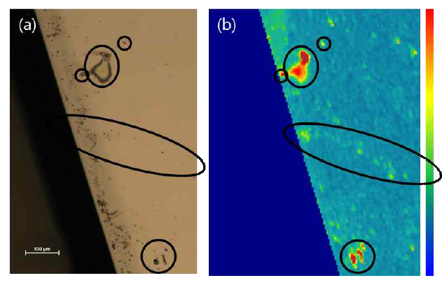 실리콘카바이드에서 관찰되는 유기물 오염의 (a) 광학현미경, (b) PL 분석 이미지