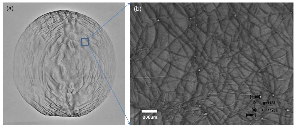 (a) High-purity semi-insulating 4H-SiC 기판의 x-ray topography 이미지로 (b) 상세 영역 확대 이미지 (BPD: 어두운 선 형태)