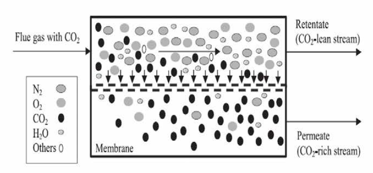 C02 분리막 개념
