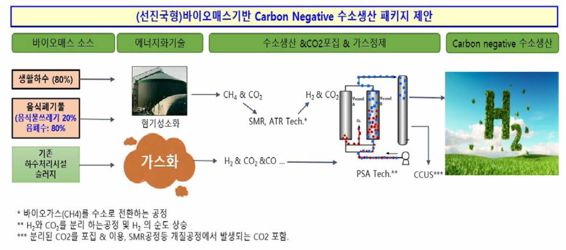 바이오매스 기반 Carbon Negative 수소생산 패키지 제안