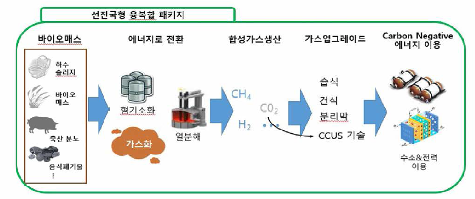 선진국형 HyBECCS 기술 모델 개요