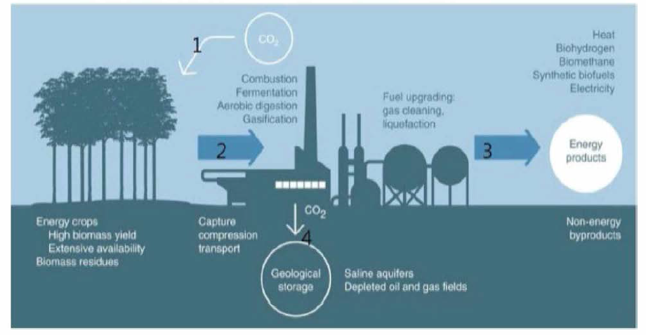 바이오에너지-탄소 포집 저장 개념도 출처 ： Bioenergy with carbon capture and storage, canadell et,al, Nature Commimica社on(2014)