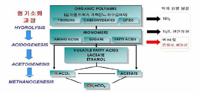 혐기성소화공정 개념도