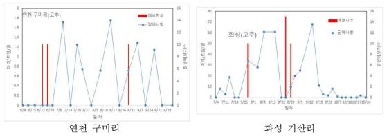 2019년 고추 담배나방 발생예보와 실제 발생 비교