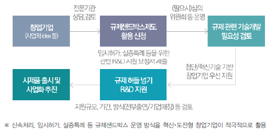 규제샌드박스 제도 연계 창업기업 R&D지원 절차(예시)