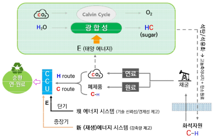 탄소 순환 도식 (출처 : 한국화학연구원, 2021)