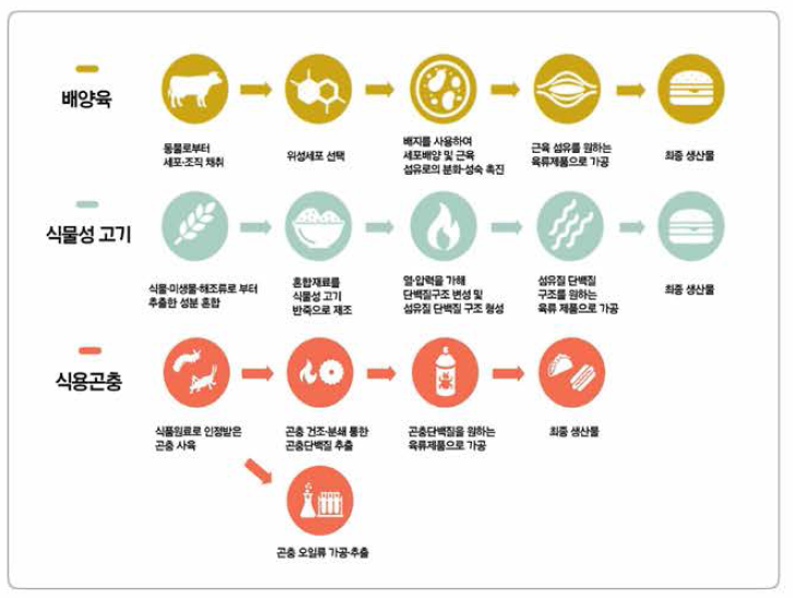 대체육 생산 과정