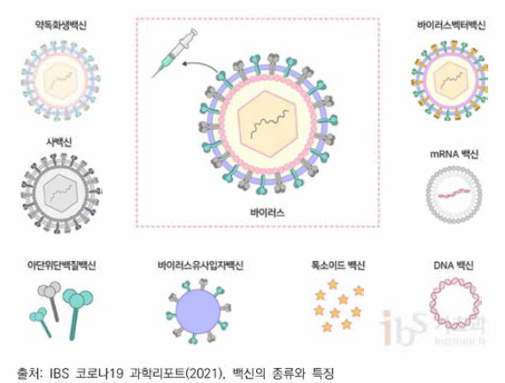 백신 플랫폼의 종류