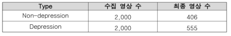 최종 우울증 영상 데이터셋