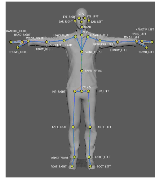 Skeleton 특징점 신체 부위