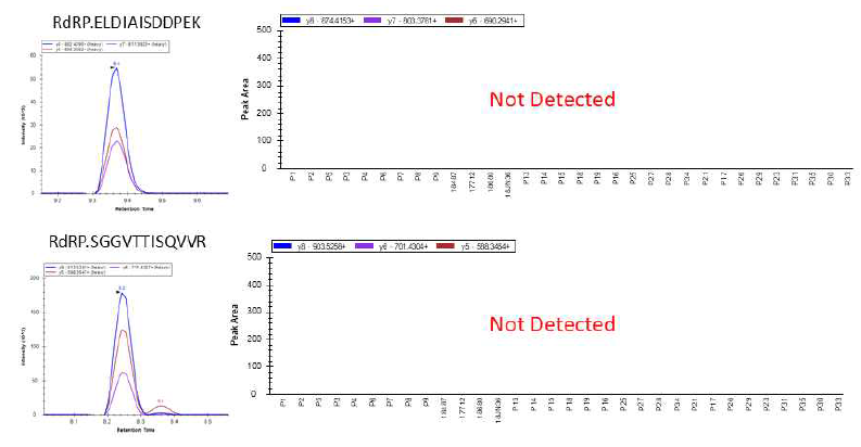 SFTSV 단백질 RdRP를 대표하는 2개의 펩티드의 32개 시료에서의 MRM 검출 결과