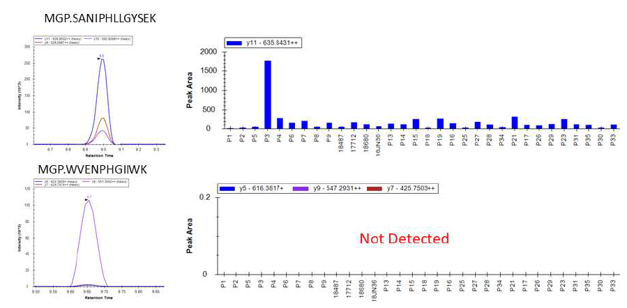 SFTSV 단백질 MGP를 대표하는 2개의 펩티드의 32개 시료에서의 MRM 검출 결과