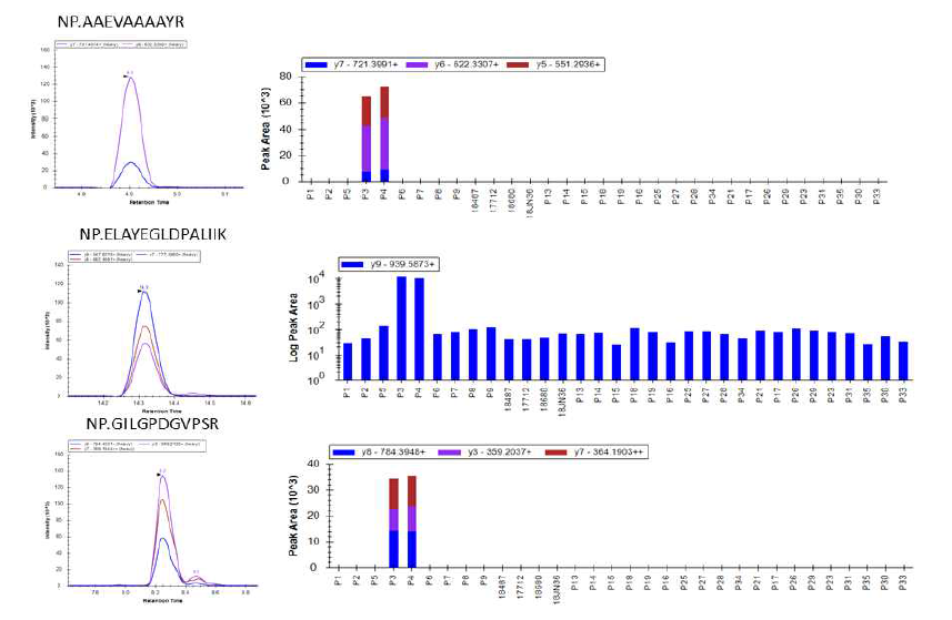 SFTSV 단백질 NP를 대표하는 3개의 펩티드의 32개 시료에서의 MRM 검출 결과