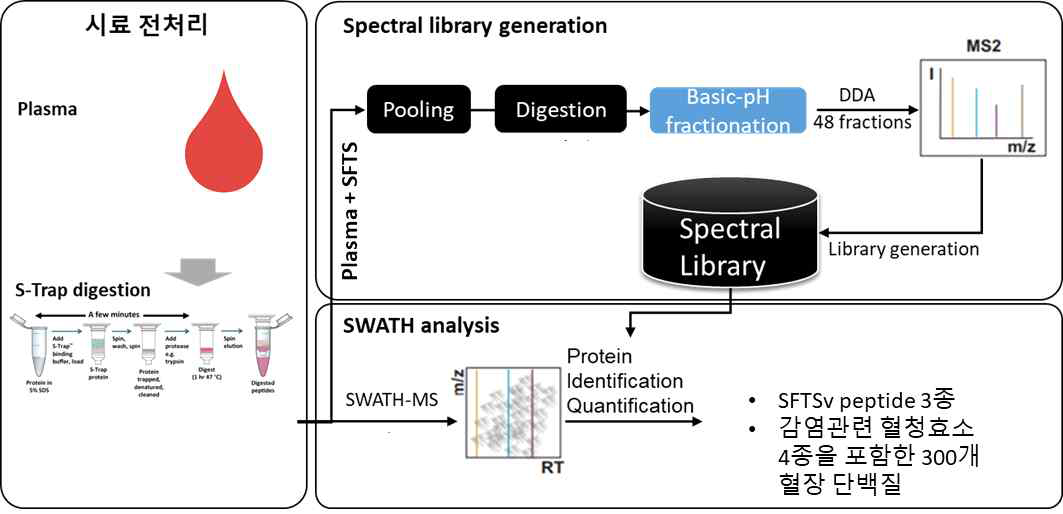 SWATH-MS 플랫폼을 이용한 SFTSv 단백질 정량 workflow