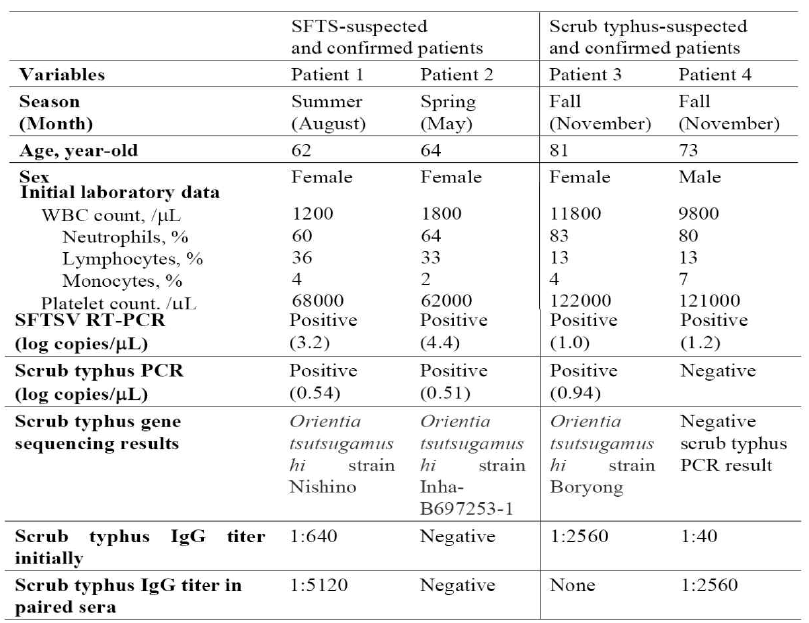4명의 SFTS 와 scrub typhus co-infection 환자의 임상상 및 검사 결과 비교