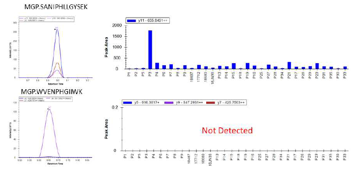 SFTSV 단백질 MGP를 대표하는 2개의 펩티드의 32개 시료에서의 MRM 검출 결과