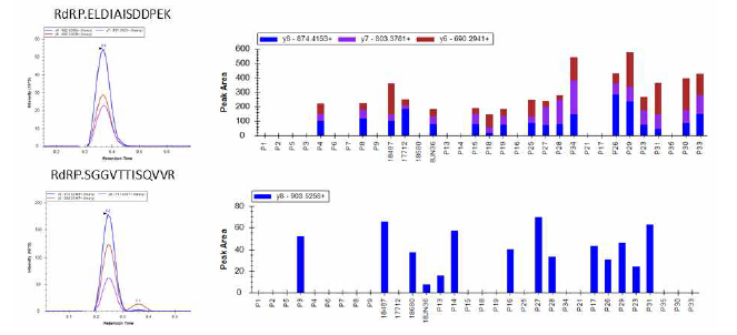SFTSV 단백질 RdRP를 대표하는 2개의 펩티드의 32개 시료에서의 MRM 검출 결과