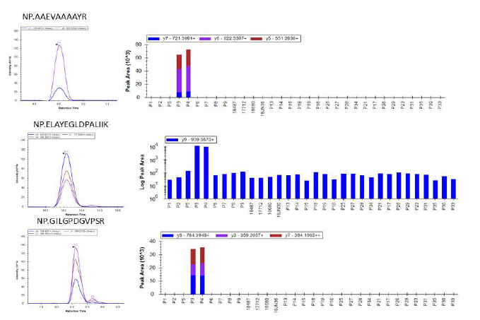 SFTSV 단백질 NP를 대표하는 3개의 펩티드의 32개 시료에서의 MRM 검출 결과