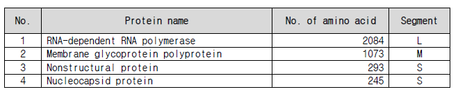 4개 단백질의 이름, 서열 길이, segment 정보