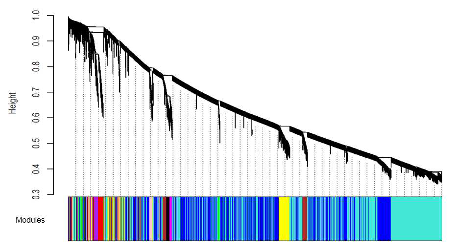 Gene co-expression network module identification in osteoblast differentiation. Hierarchical cluster trees show the co-expression modules identified by WGCNA