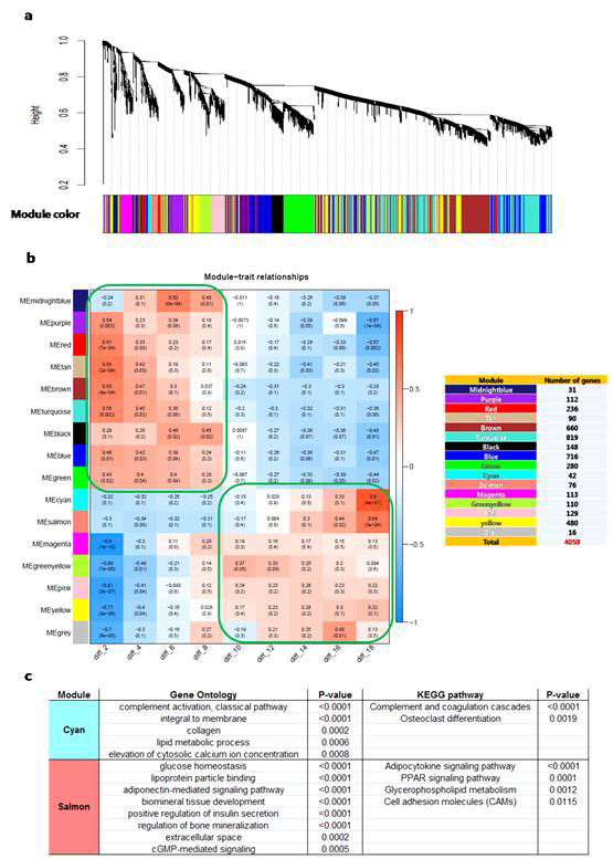 WGCNA analysis of 4,058 time series gene expression data in nine time points of osteoblast differentiation