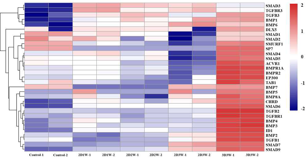 A heatmap of the 31 genes associated with TGF-β signaling pathway