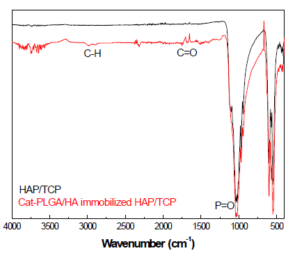 HAp/β-TCP와 Catechol-conjugated HA-PLGA 나노입자를 고정화 시킨 HAp/β-TCP의 FT-IR 분석결과
