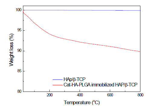 HAp/β-TCP와 Catechol-conjugated HA-PLGA 나노입자를 고정화 시킨 HAp/β-TCP의 TGA 분석결과