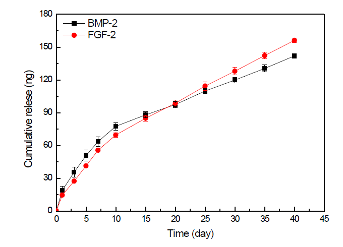 BMP-2 및 FGF-2가 탐재된 히알루론산계 나노입자가 표면 고정화된 HAp/β-TCP 에서의 방출분석결과