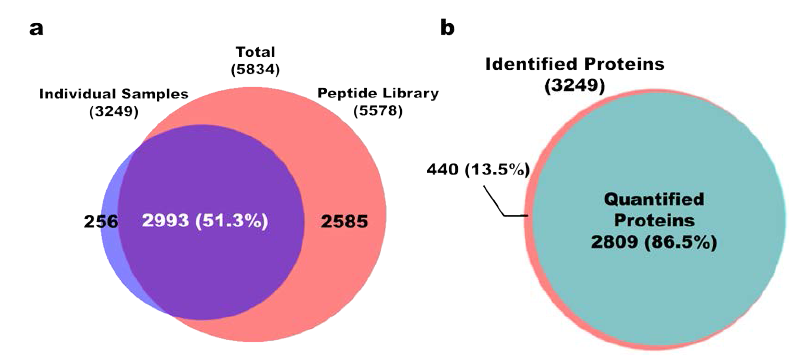 펩타이드 라이브러리와 개별시료에서 동정된 및 정량된 단백질의 벤다이어그램