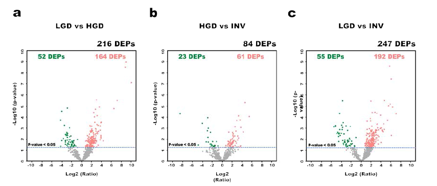IPMN dysplasia에 따른 3 그룹 (LGD, HGD, Invasive IPMN)에 대한 Student’s t-test 결과에 대한 volcano plot