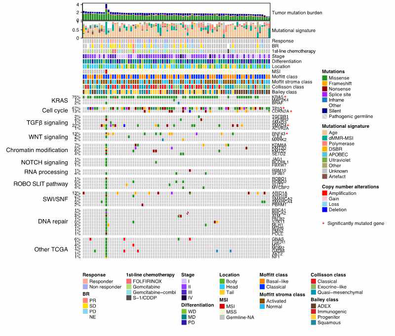 Genomic landascpe of Pancreatic ductal adenocarcinoma