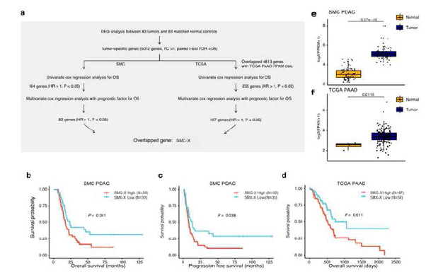 Identification of poor prognosis-related genes