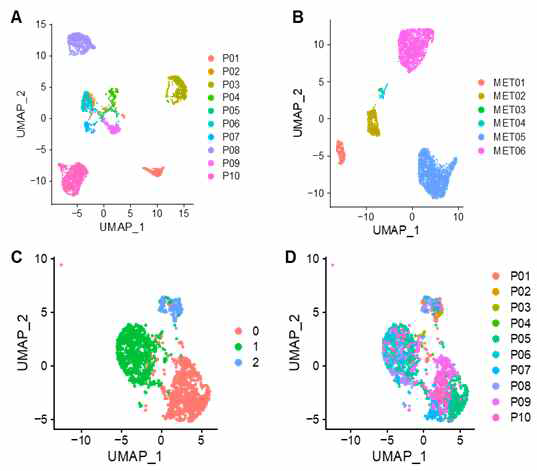 Unsupervised clustering analysis of tumor cells and cancer associated fibroblasts (CAFs) in PDAC primary tumors and metastatic lesions. A) tumor cells in the primary tumors are mostly segregated by patients. B) tumors cells in the metastatic lesions also cluster by patients. C) three major clusters are formed by CAFs from primary tumors. D) CAFs from different patients are mixed in the different clusters