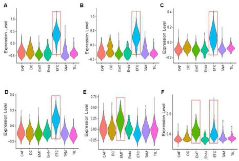 Expression of PDAC subtype signature genes in different cell types identified by single cell transcriptomics. Violin plots are used to show the modular expression scores of the signature genes that define subtypes described previously: the Classic subtype described by Collisson et al. (A) and Moffitt et al. (B), The Progenitor (C) and the Squamous subtypes by Bailey et al. (D), the QM subtype by Collisson et al. (E), and the Basal subtype by Moffitt et al.. Red boxes indicate cell types that have higher expression scores than the other cell types