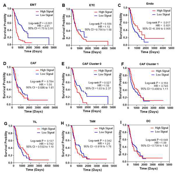 Kaplan–Meier survival curves for PDAC patients in the ICGC database by expression levels of cell type specific gene signatures derived from the single cell transcriptomics analysis. A) EMT cell gene signature; B) ETC cell gene signature; C) Endothelial cell gene signature; D) CAF gene signature; E) CAF cluster 0 gene signature; F) CAF cluster 1 gene signature; G) TIL gene signature; H) TAM gene signature; and I) dendritic cell gene signature