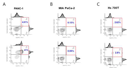 Vitamin C induces sensitively cell death in KRAS G12D-mutant pancreatic cancer cells (A), not in other KRAS mutation (KRAS G12C, B) or wild type (C)