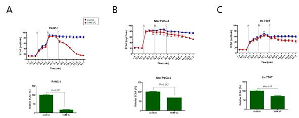 Vitamin C inhibits rapidly the glycolysis in KRAS G12D-mutant pancreatic cancer cells (A) and does not inhibit in other KRAS mutation (KRAS G12C, B) or wild type (C)