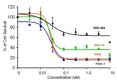 Growth inhibition curves with 17-AAG in various cancer cell lines